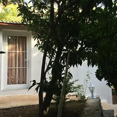 Butterfly Homestay