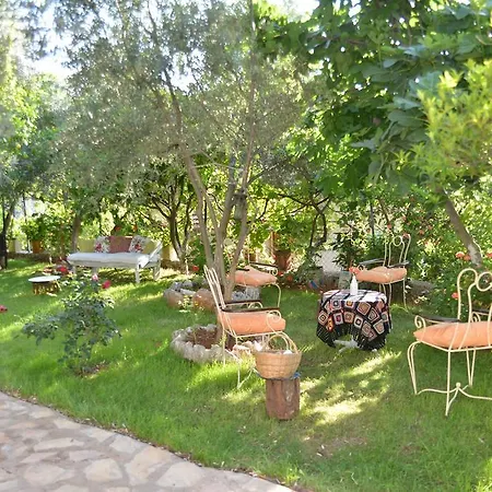 Homestay Butterfly Faralya