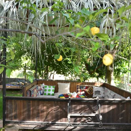 Butterfly Homestay Faralya