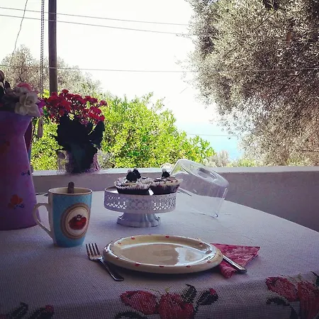 Homestay Butterfly