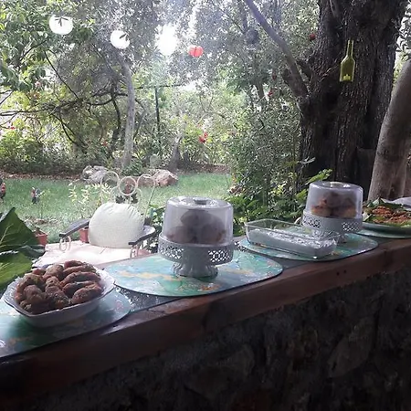 Homestay Butterfly Faralya
