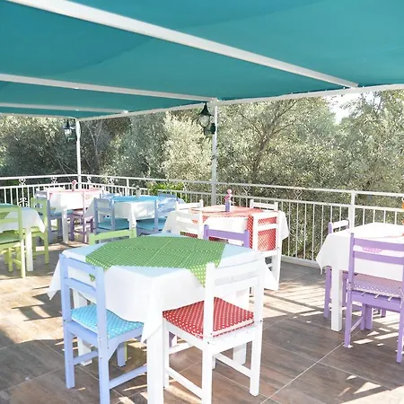 Butterfly Accommodatie bij particulieren *