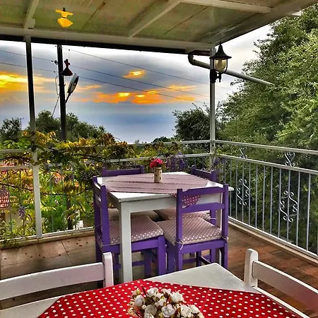 Accommodatie bij particulieren Butterfly *